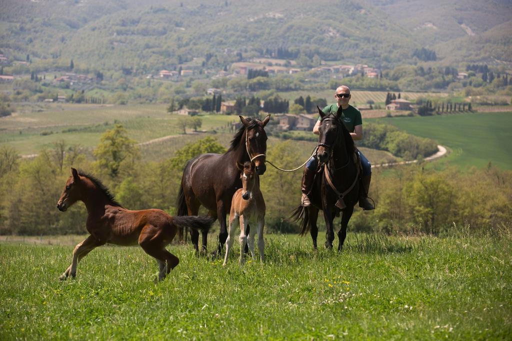 Poggiovalle Tenuta Italiana Читта-делла-П'єве Екстер'єр фото